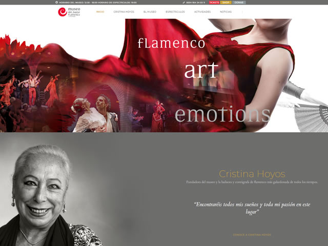 Museo del baile flamenco